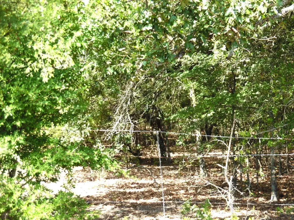 Picture 3