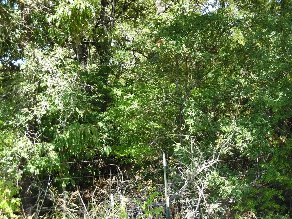 Picture 10