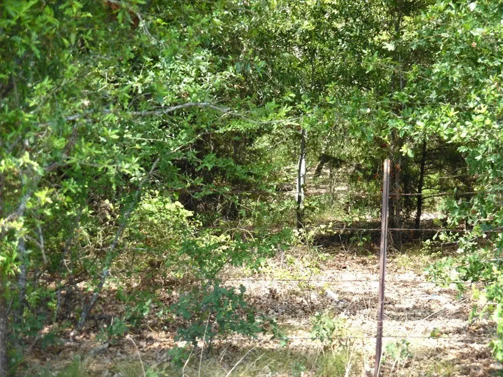 Picture 7