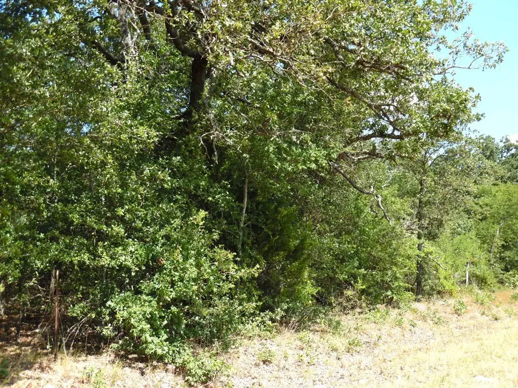 Picture 12