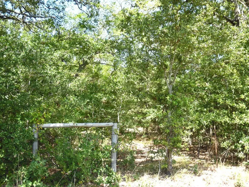 Picture 11