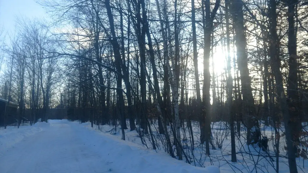 Picture 21