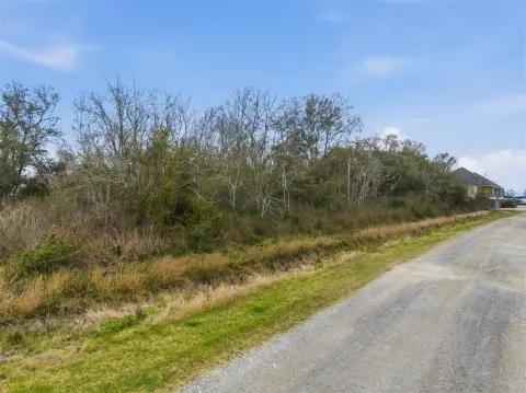 Hackberry Land Near Ship Channel