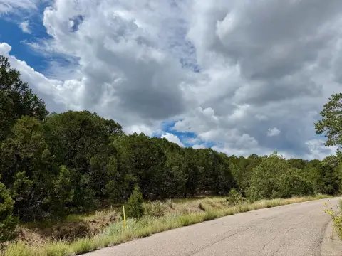 Two Wooded Acres in Tijeras