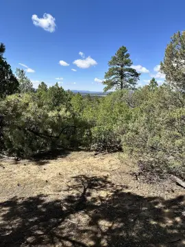 Chama Valley Camp Renegade Land