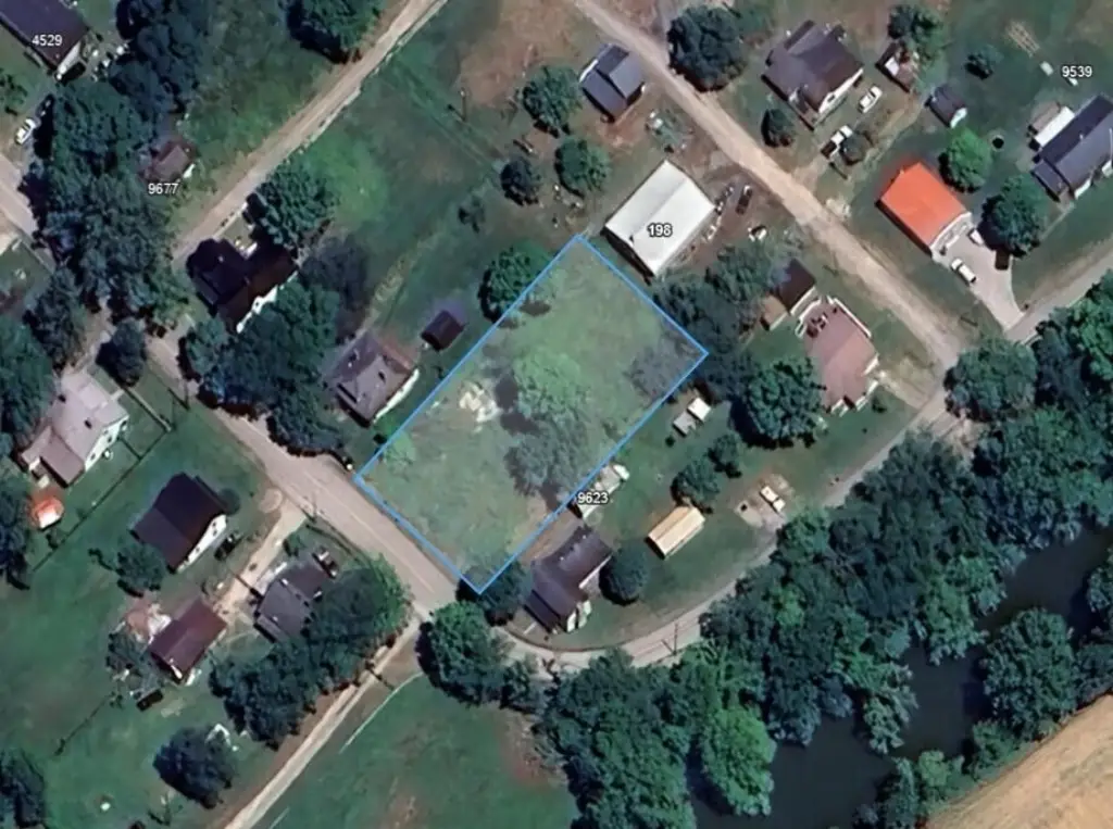 Picture 5