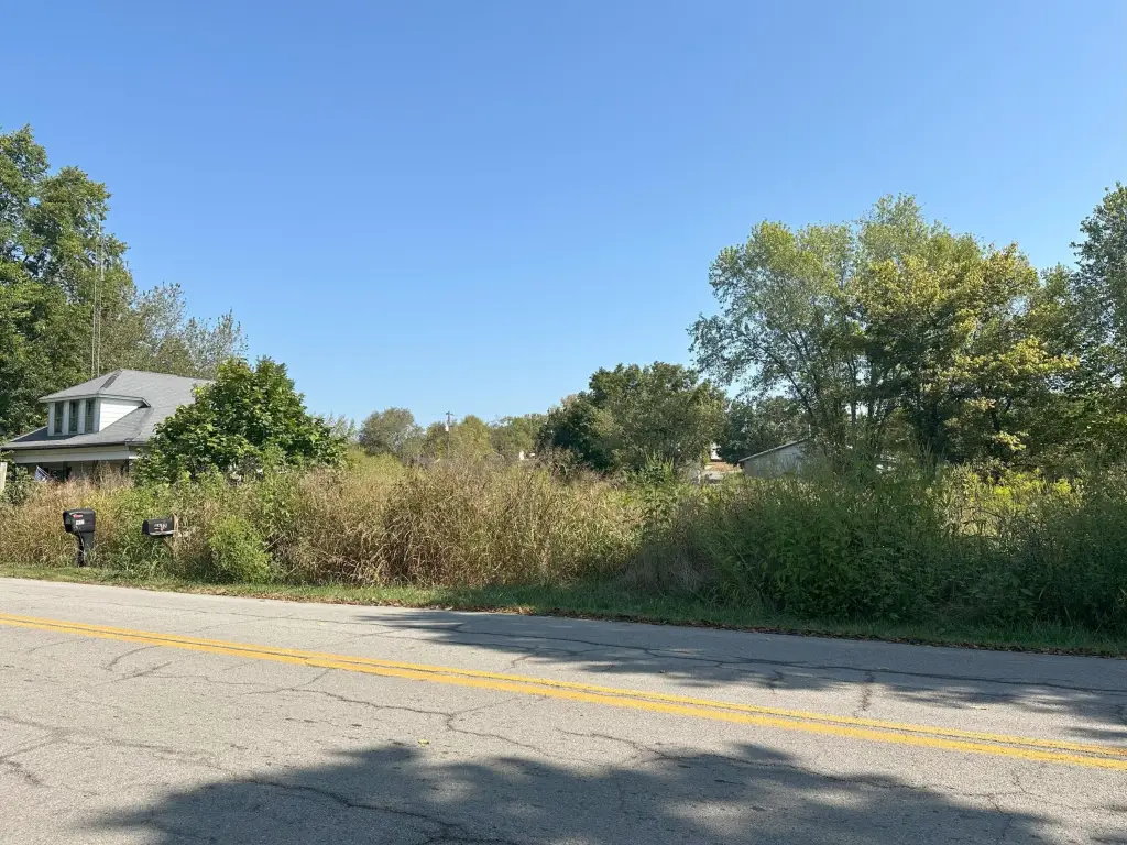 Picture 3