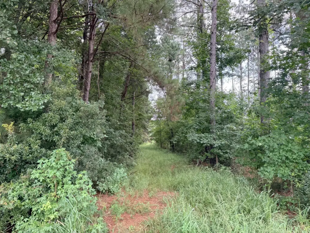 Picture 22