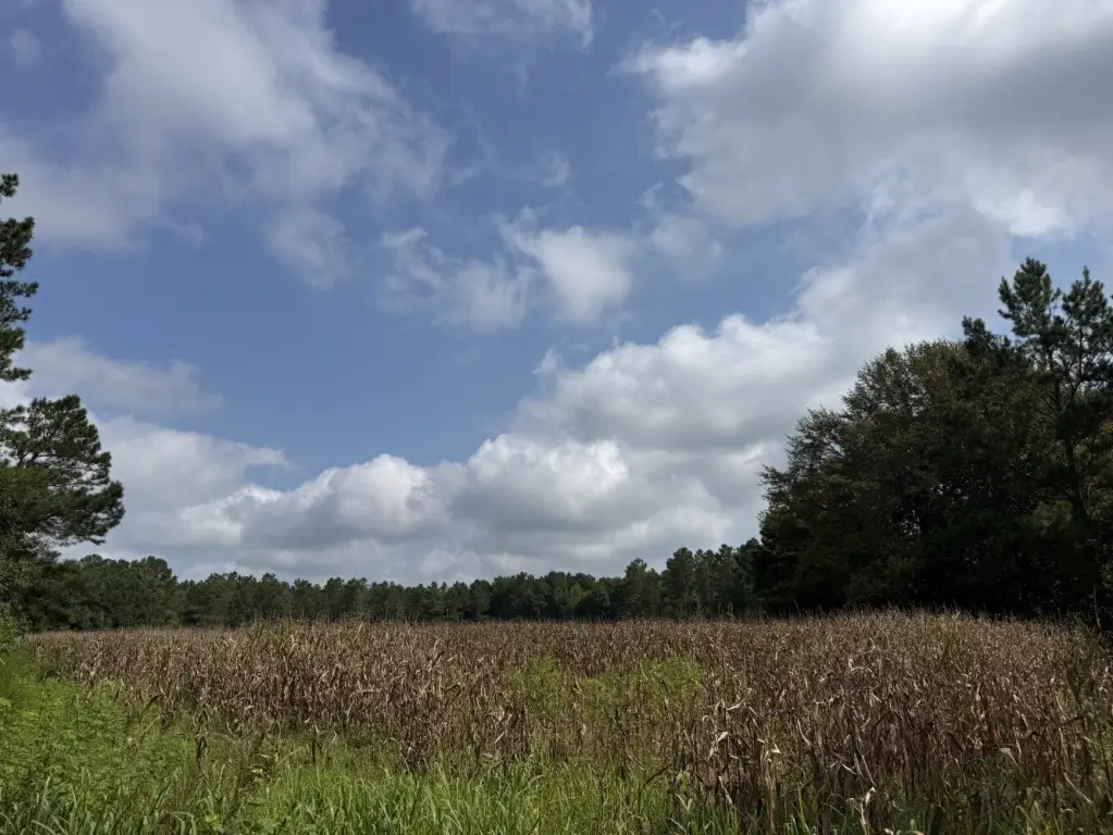 Picture 25