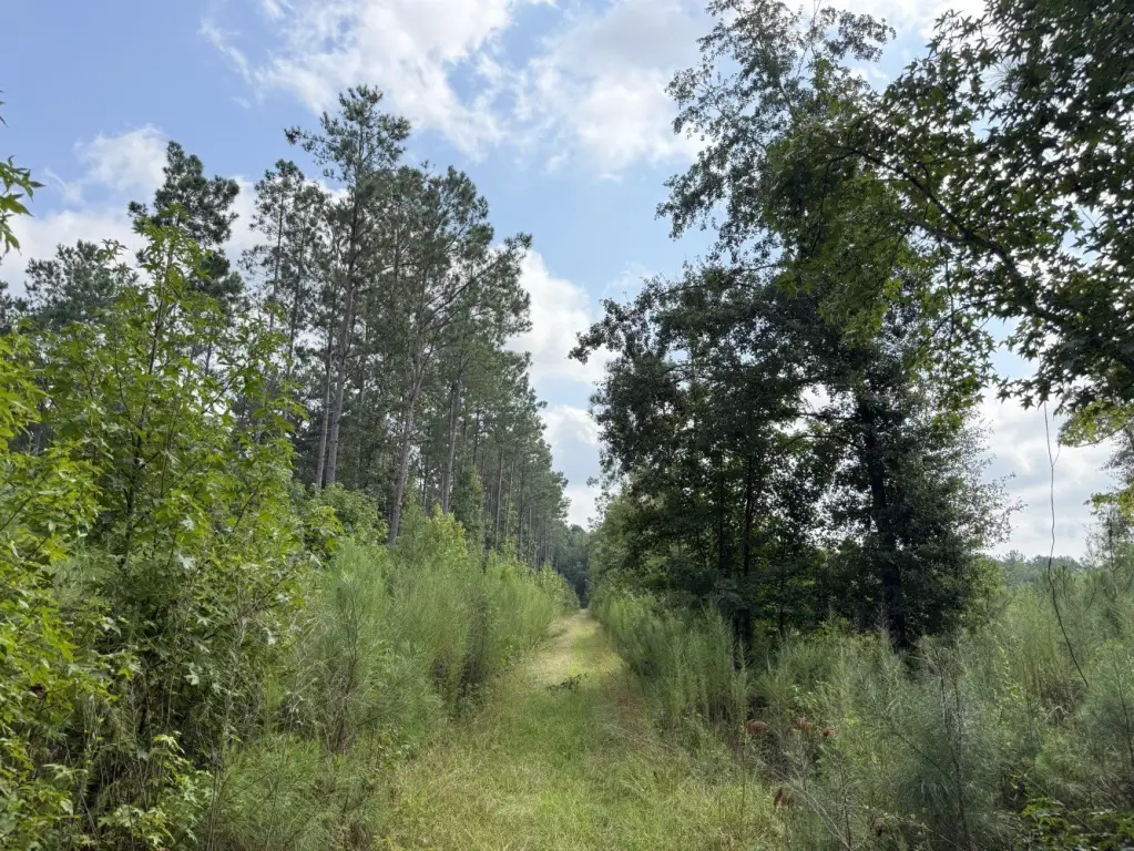 Picture 26