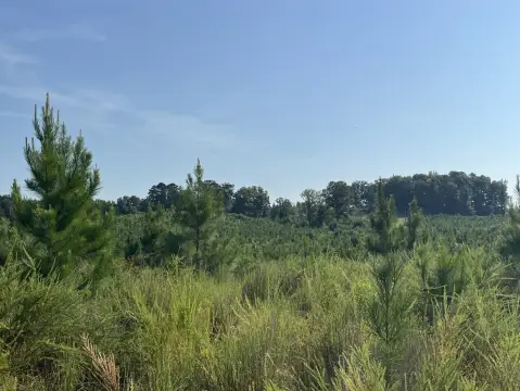 Hunting Land with Internal Roads