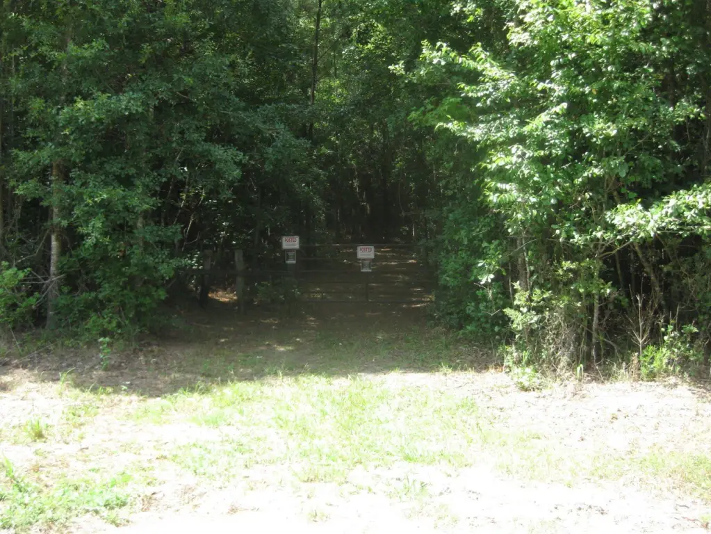 Picture 19