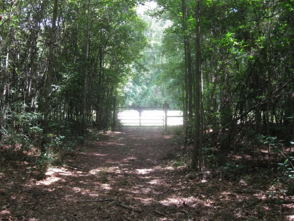Picture 16
