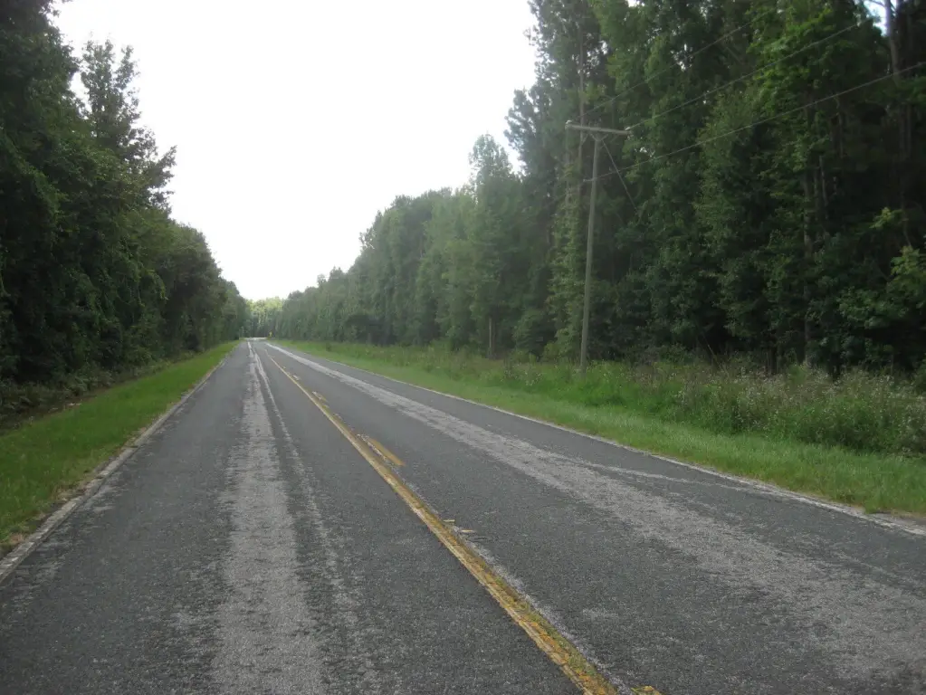 Picture 27