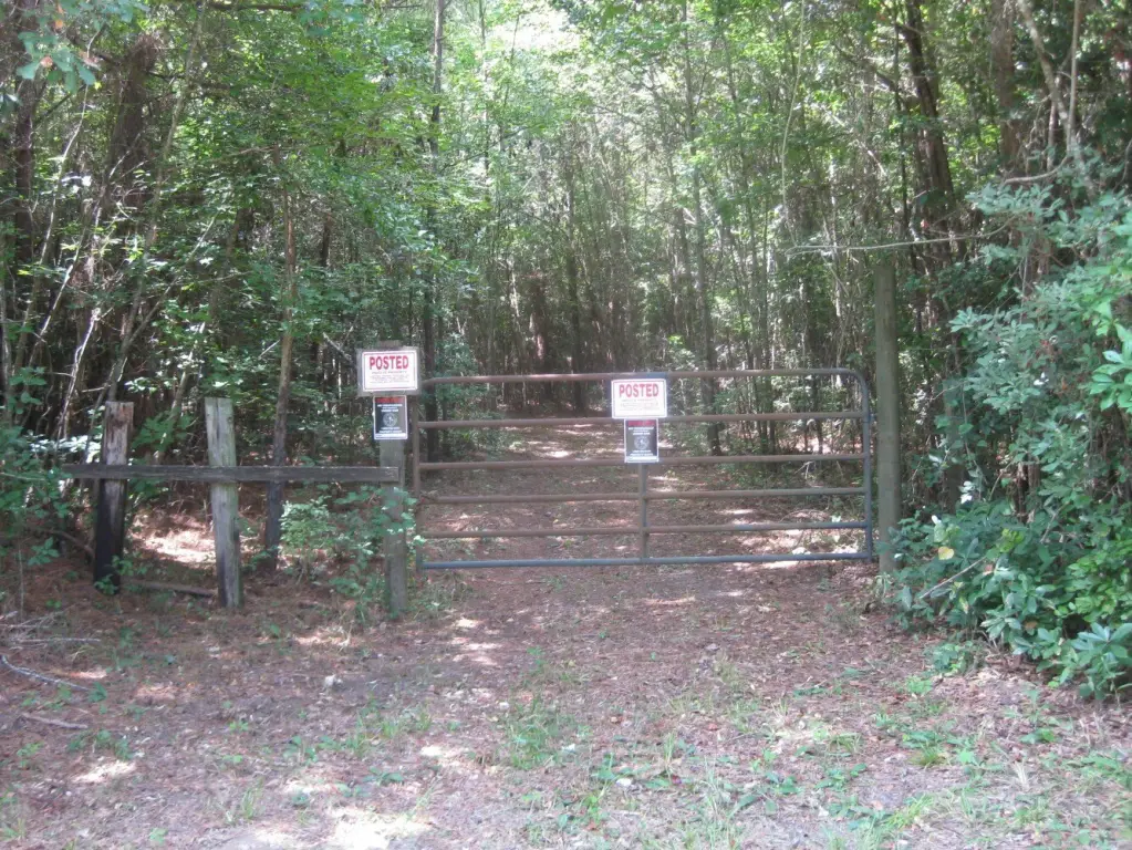 Picture 18