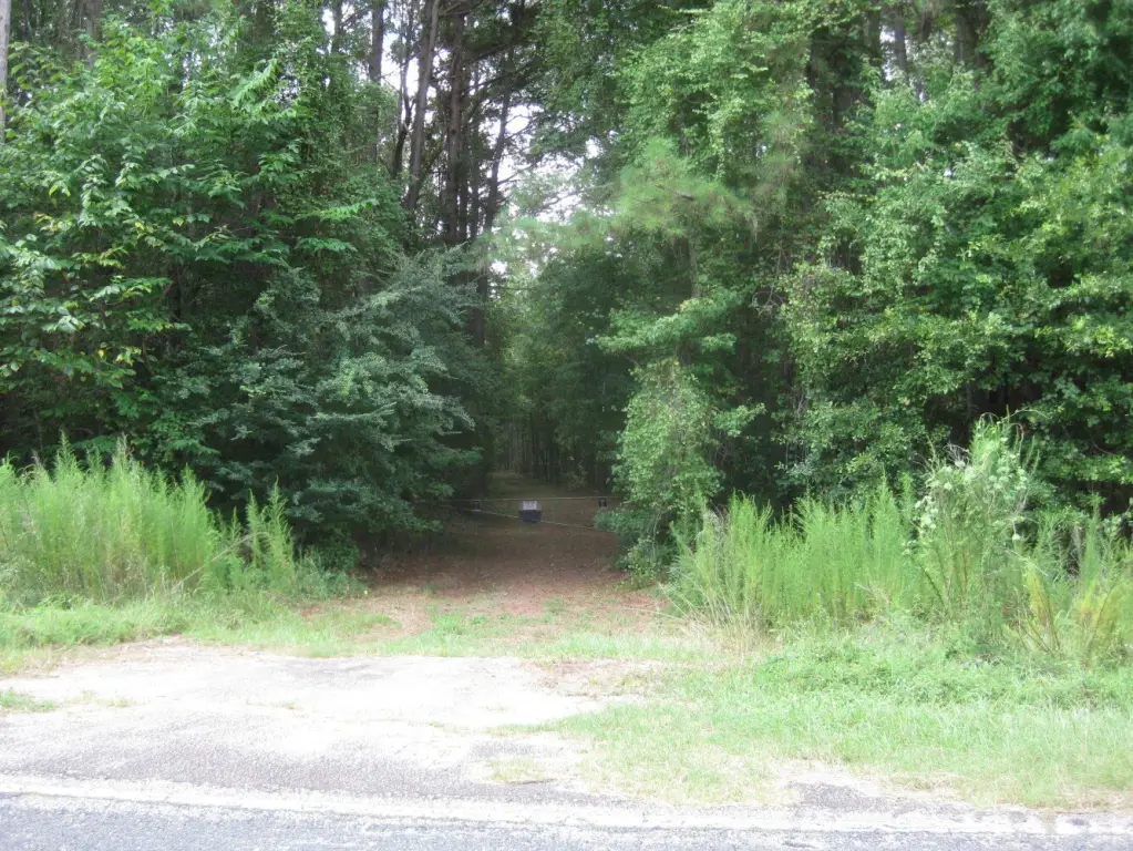 Picture 20