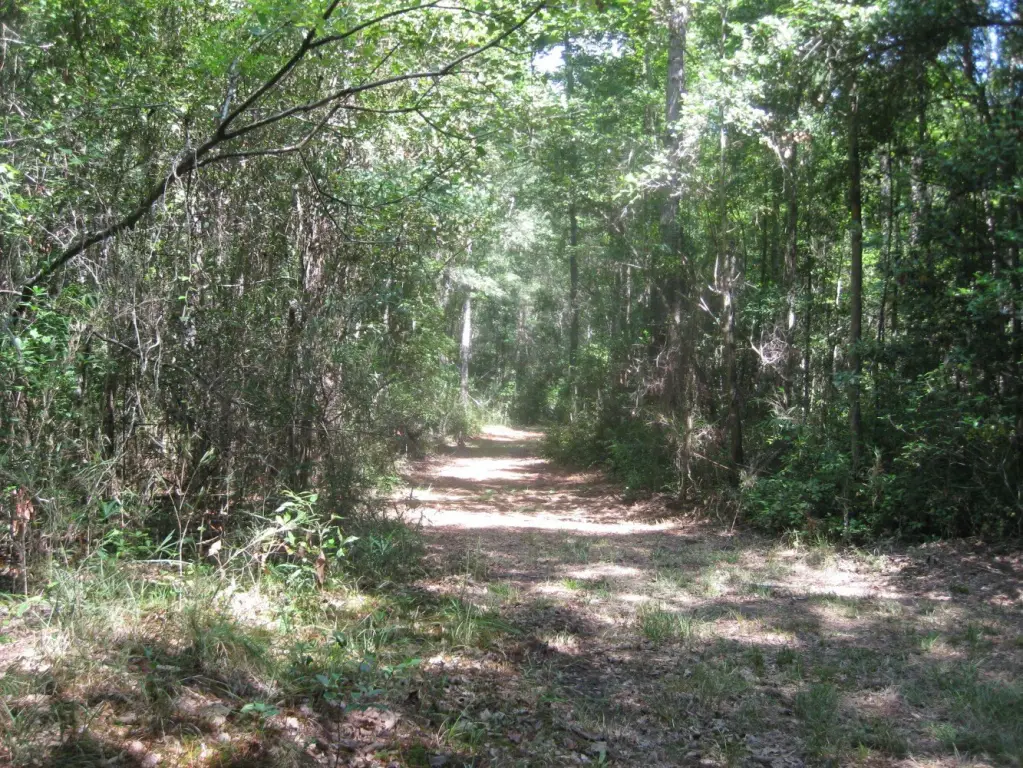 Picture 7