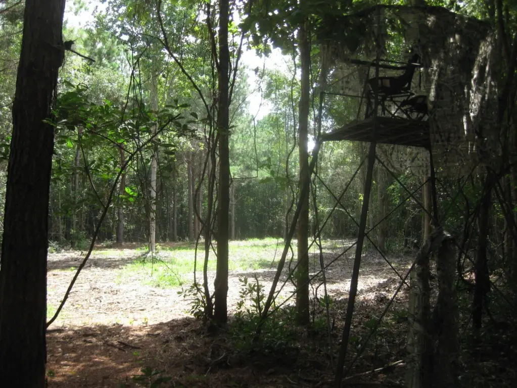 Picture 15