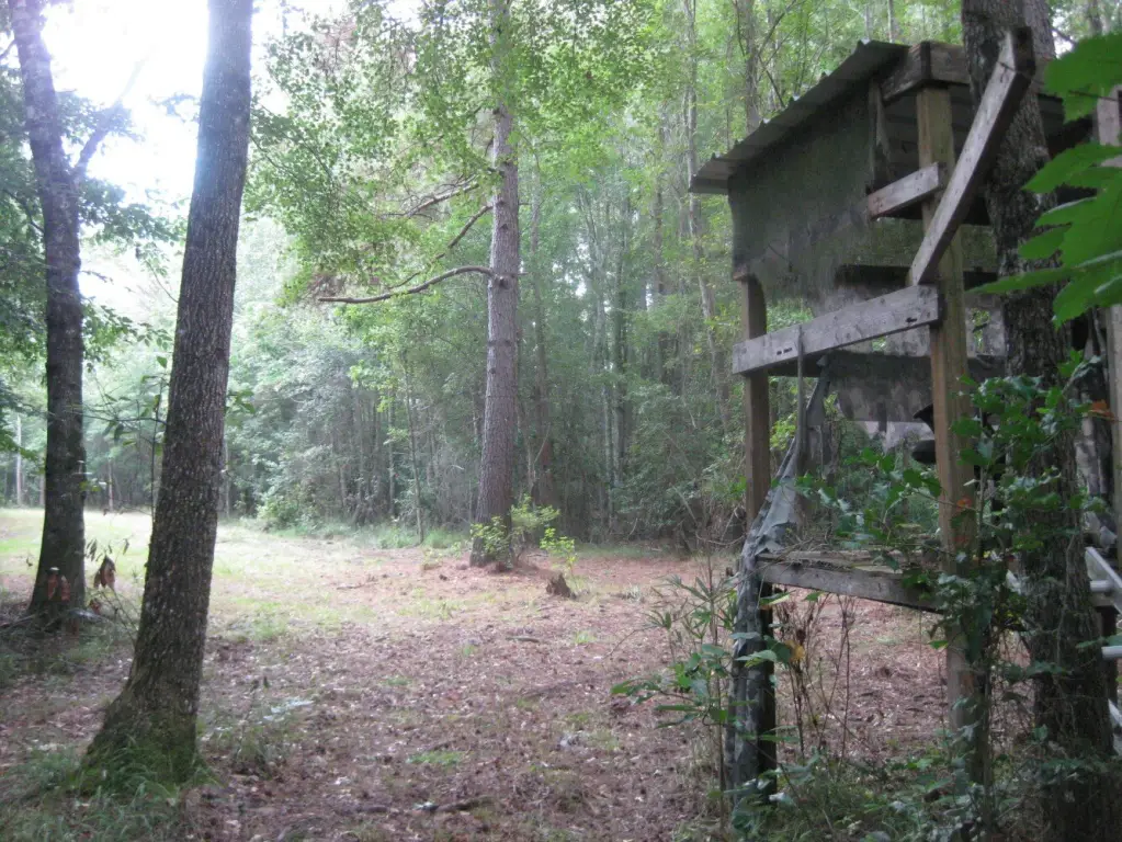 Picture 23