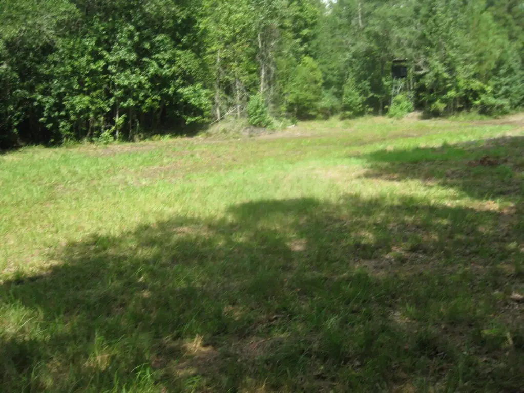 Picture 10