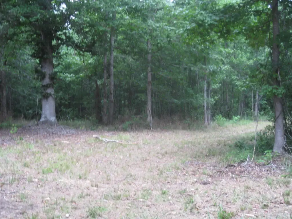 Picture 13