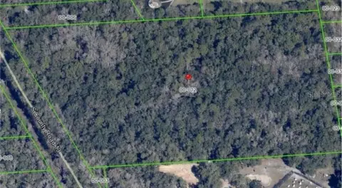 10+ Acres Florida Land