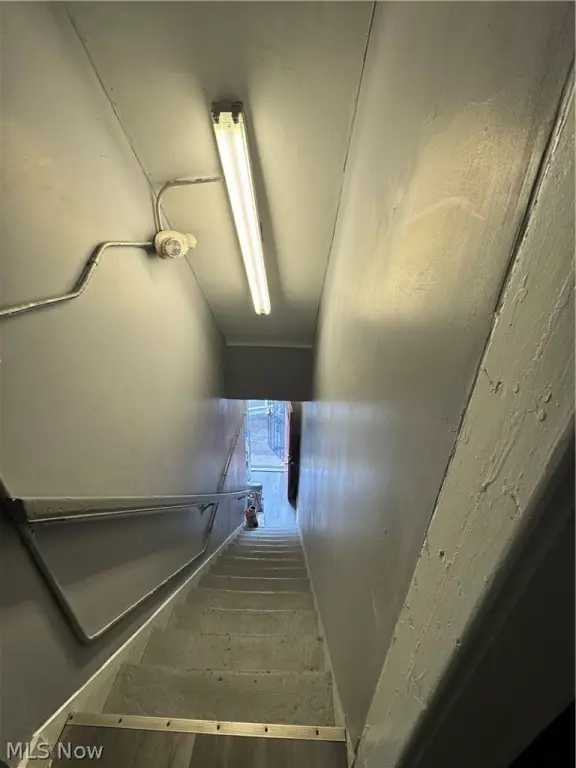 Picture 27