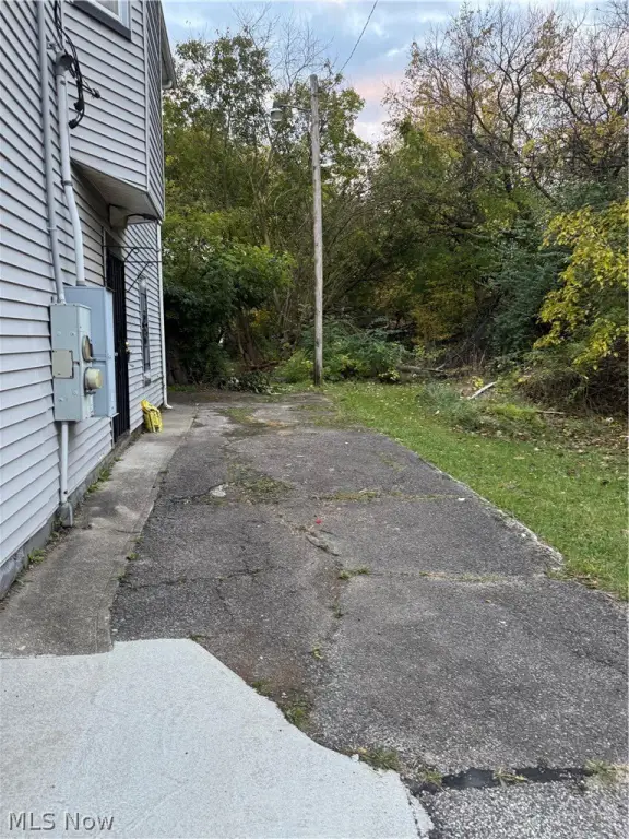 Picture 5