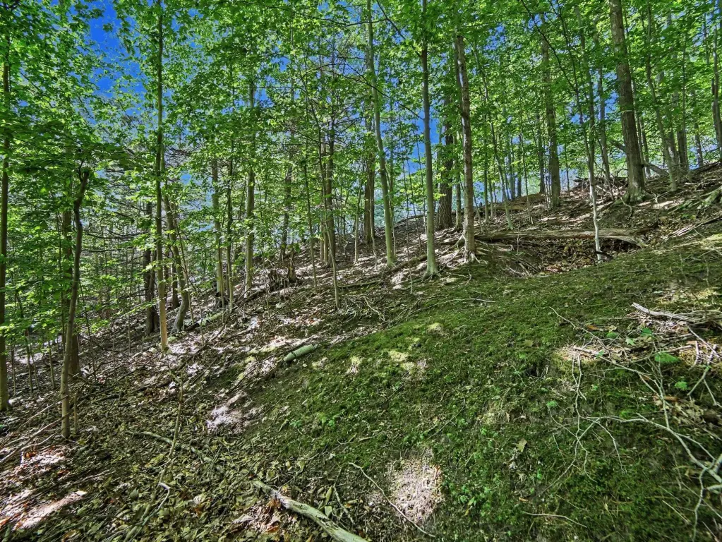 Picture 14