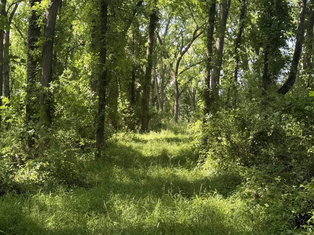 Picture 5