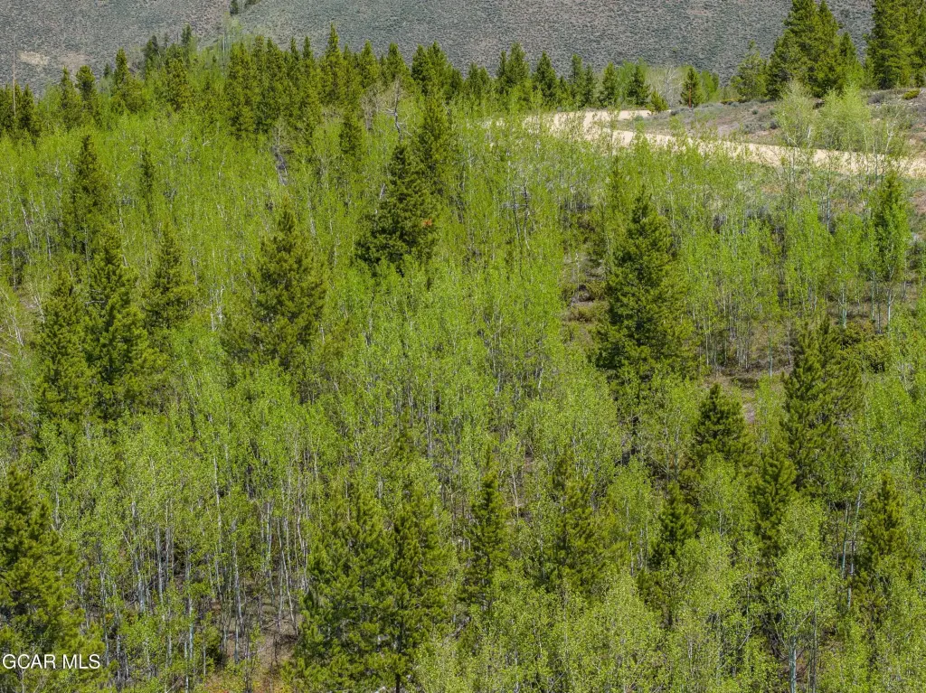 Picture 24