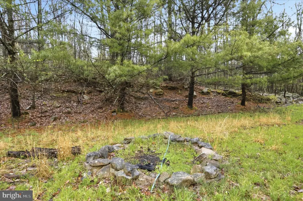 Picture 16