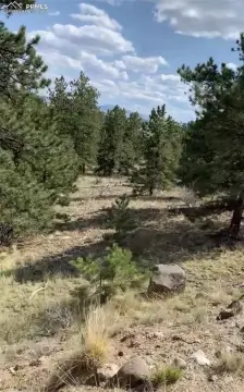 Land in Ranch of Rockies