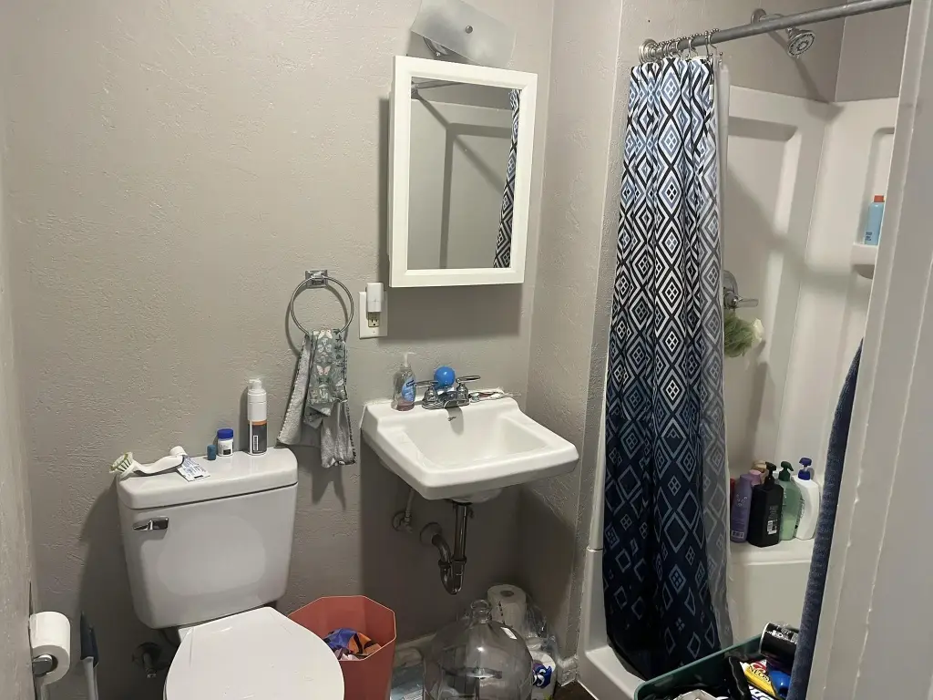 Picture 21