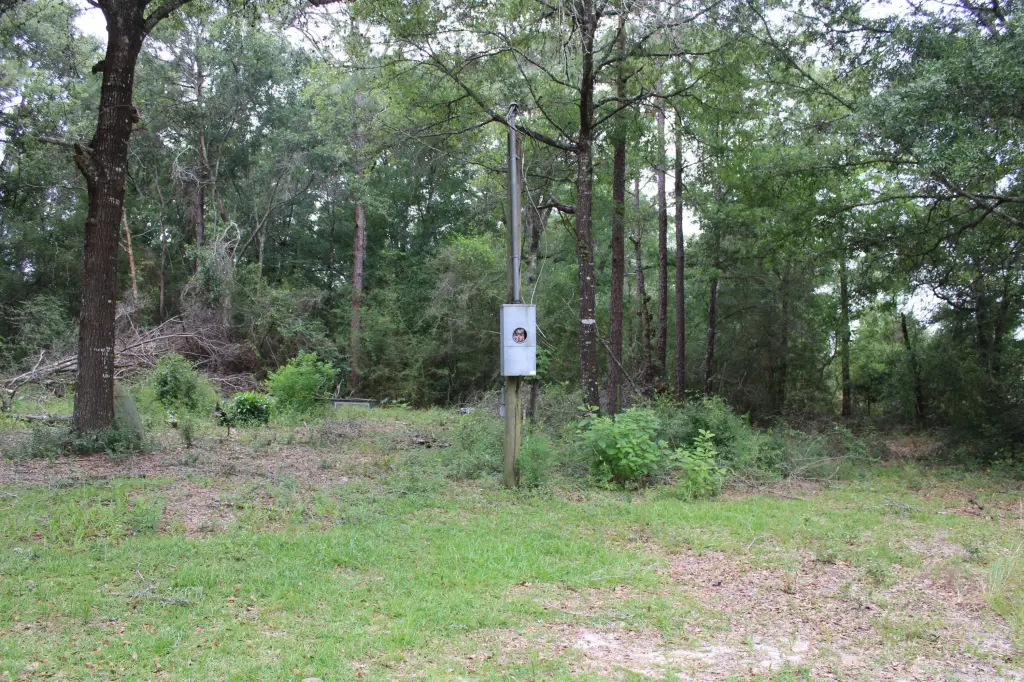 Picture 6