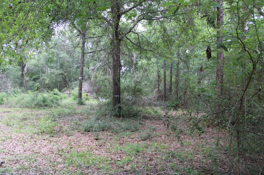 Picture 4