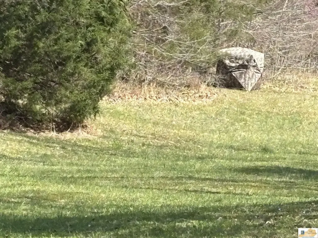Picture 4