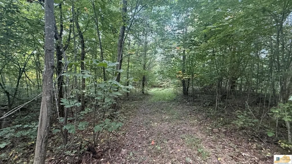 Picture 19