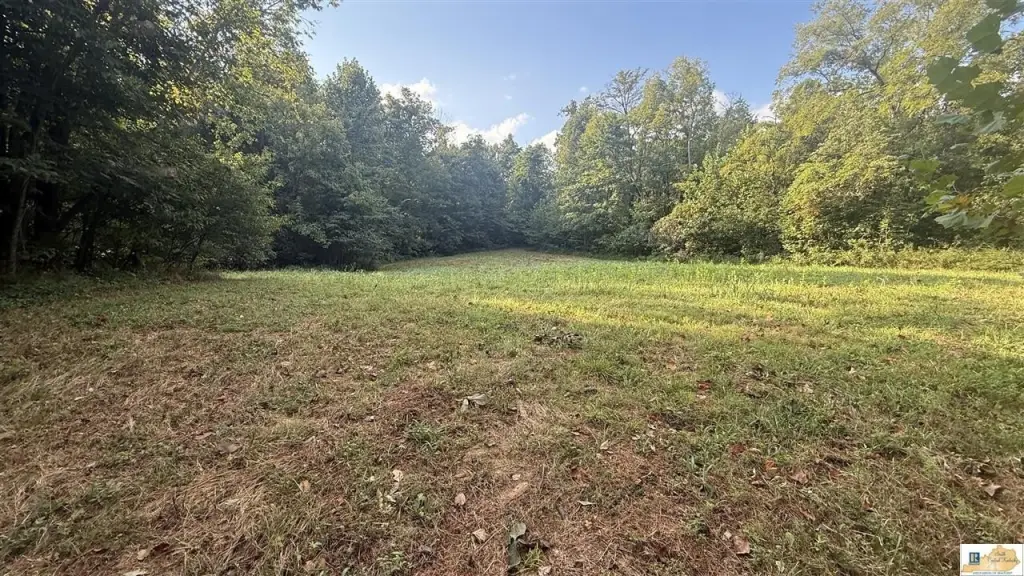 Picture 20