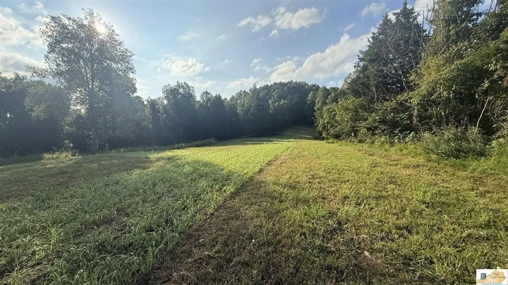Picture 16