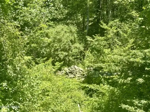 Honesdale Wooded Lot For Sale