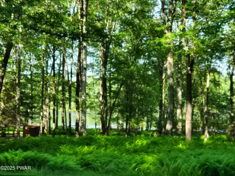 Lakeview Building Lot in Hawley