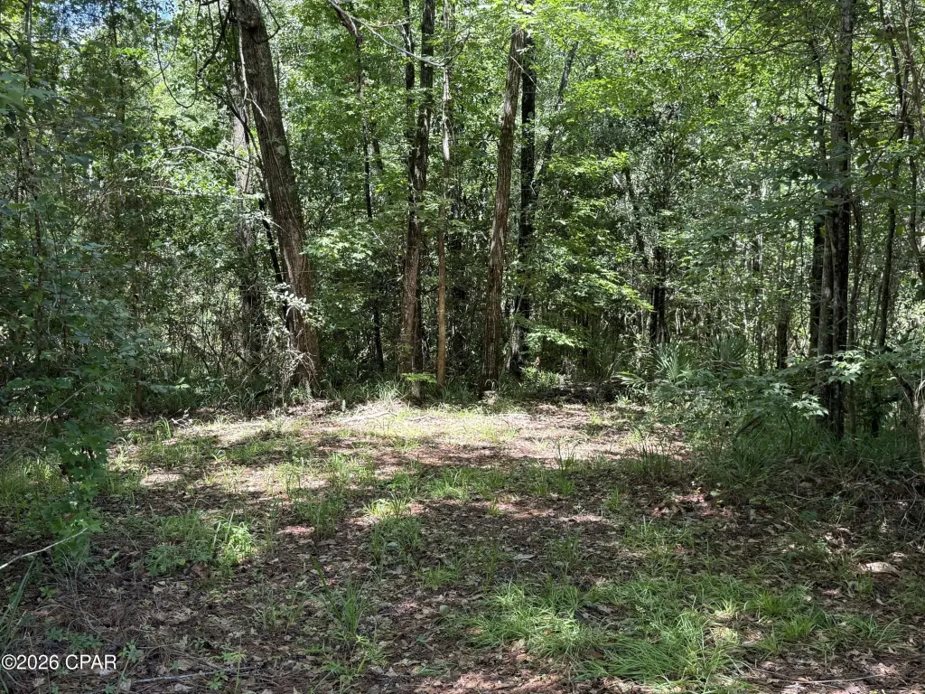 Picture 16