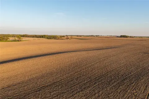 High Quality Farmland Auction