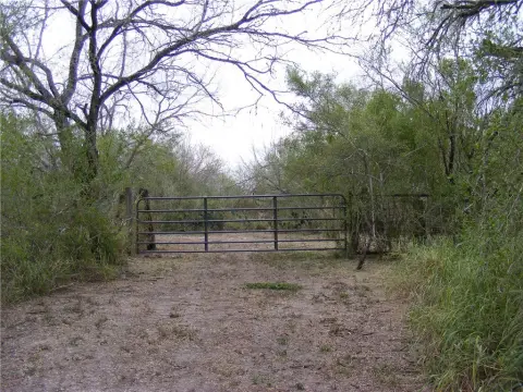 Acreage Near Lake Corpus Christi