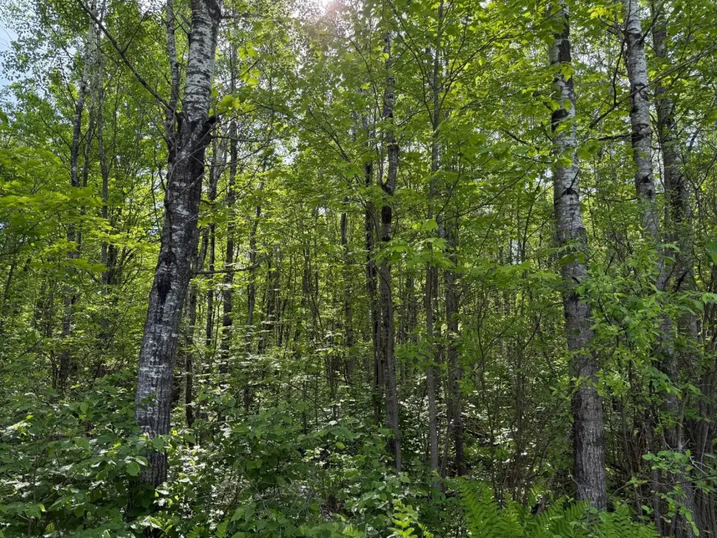 Picture 16