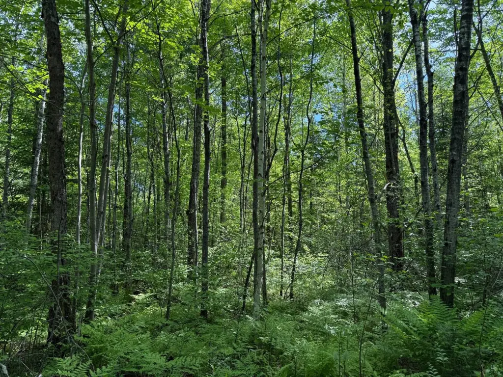 Picture 22