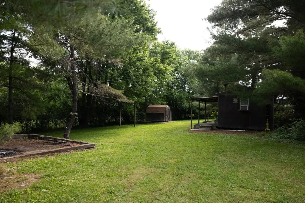 Picture 6