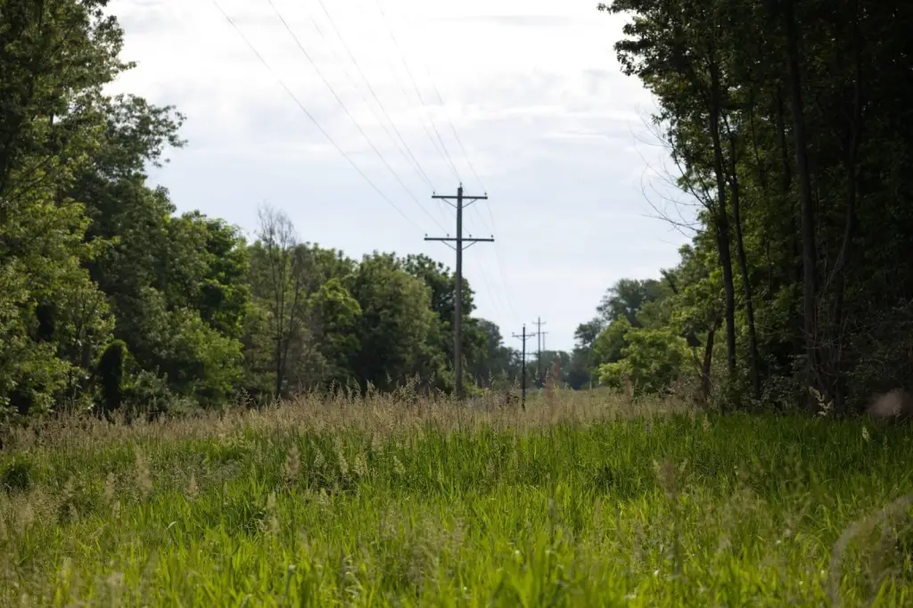 Picture 30
