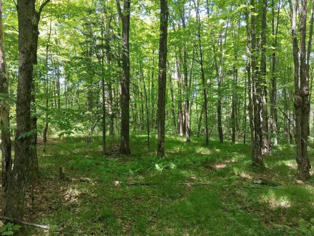 Picture 15